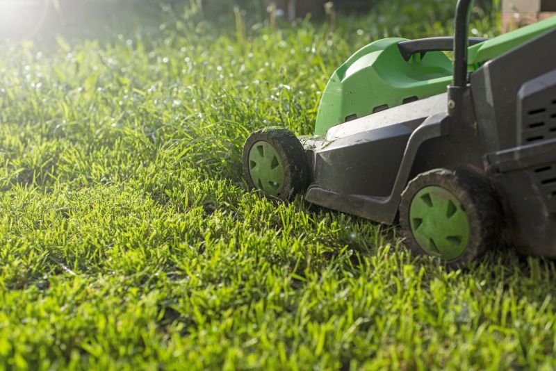 Clean Lawn Equipment