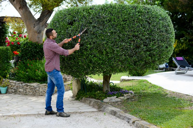 Landscape Pruning Service in Rockwall, TX